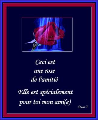 si cette rose por mon amie 7ayat et les autres........